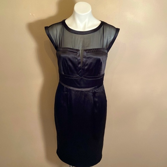 The Limited Scandal Collection Corset Illusion Mesh Fitted Shift Dress Sexy - Picture 3 of 10